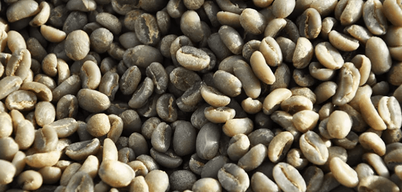 coffee-seeds